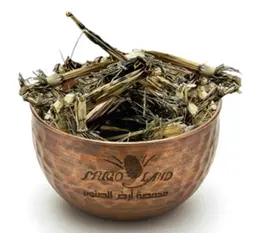 Horsetail Herb R807