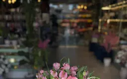 الجمال الوردي