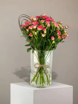 ڤيلورا