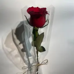 ورده وحده
