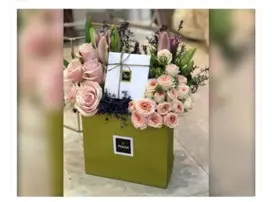 بيبي روز بينك مع شوكولاته باتشي