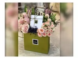 بيبي روز بينك مع شوكولاته باتشي