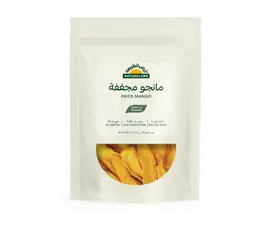 Natureland Dried Mango 100g