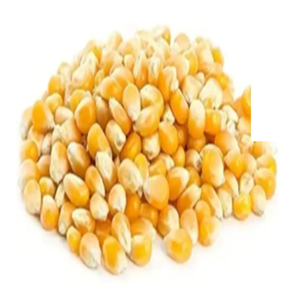 Popcorn - 500 gm