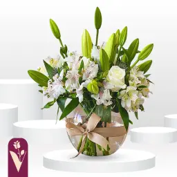 فازة إستروروزا