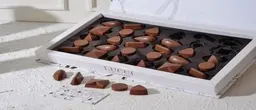 لوتشي