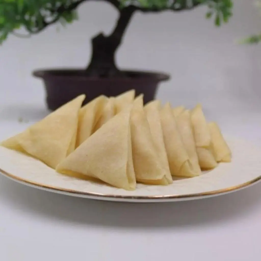 Frozen Samosa