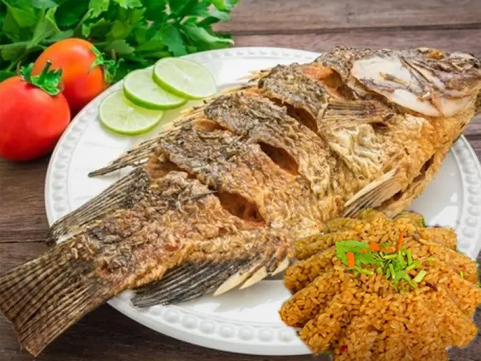 Tilapia Meal