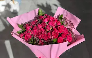 جاردن آحمر