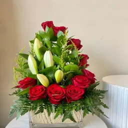 vases LR 1