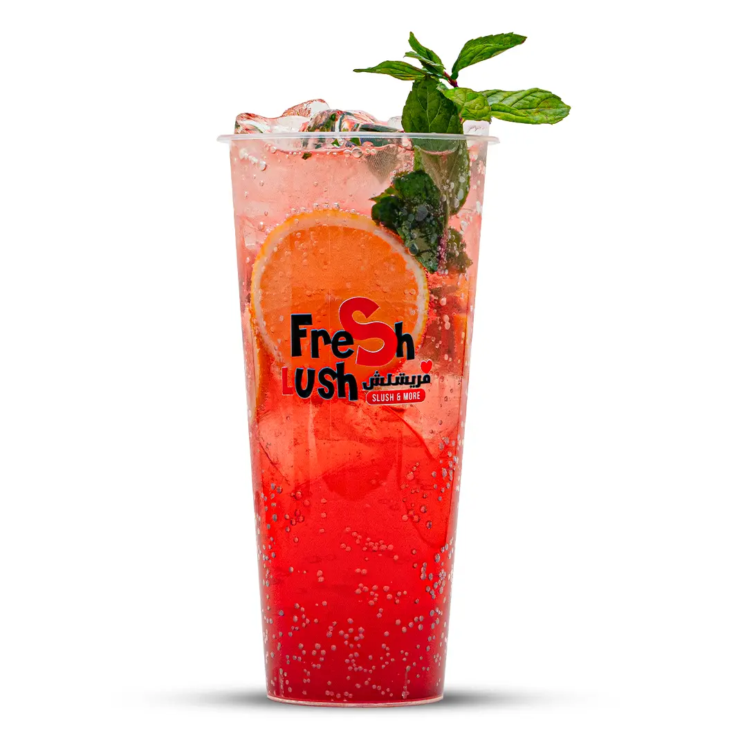 Coolito Mojito