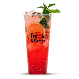 Coolito Mojito