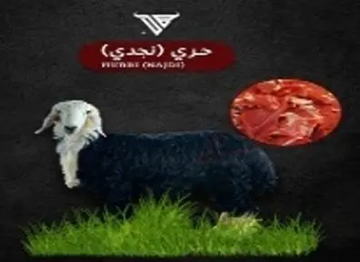 Najdi Trip