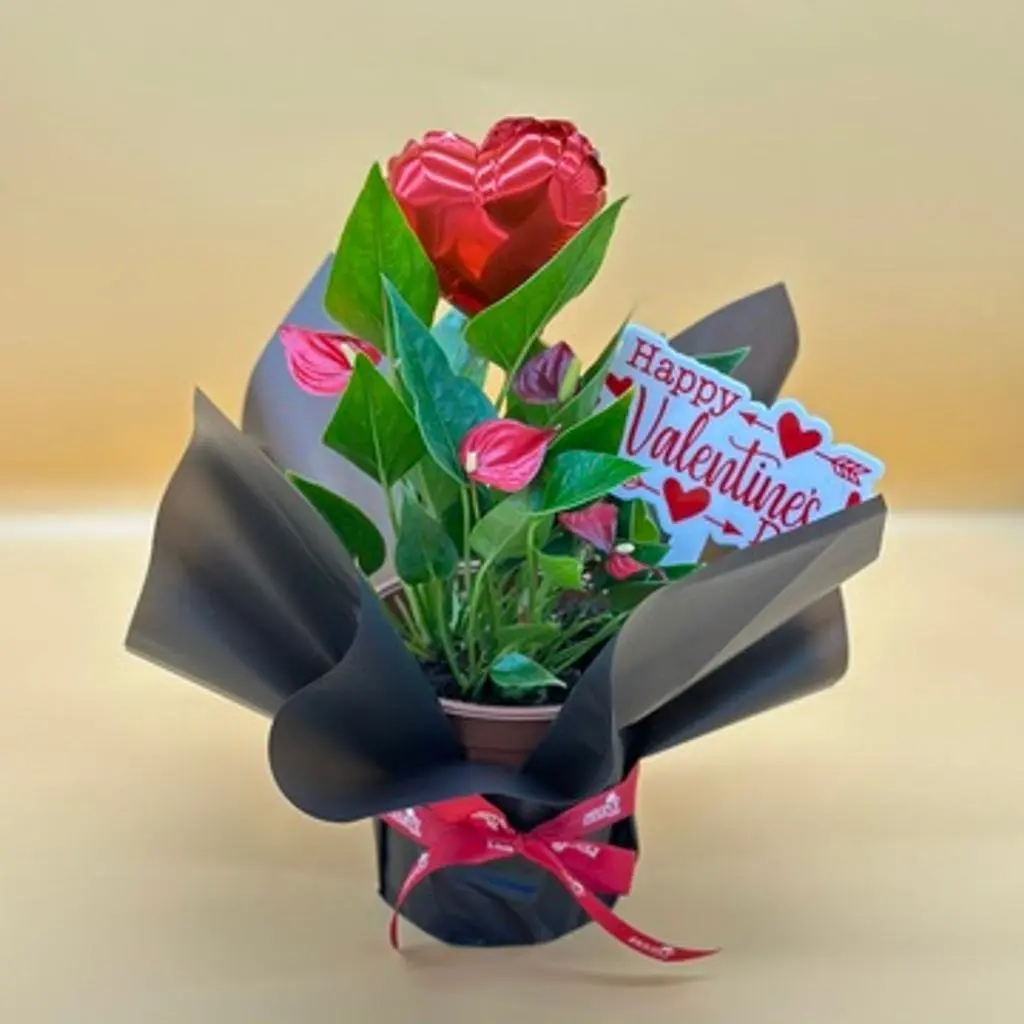 Love Bouquet 522