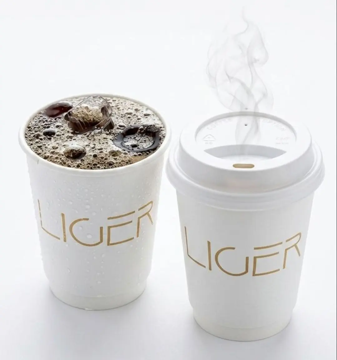 Coffee of the Day (Hot or Cold)