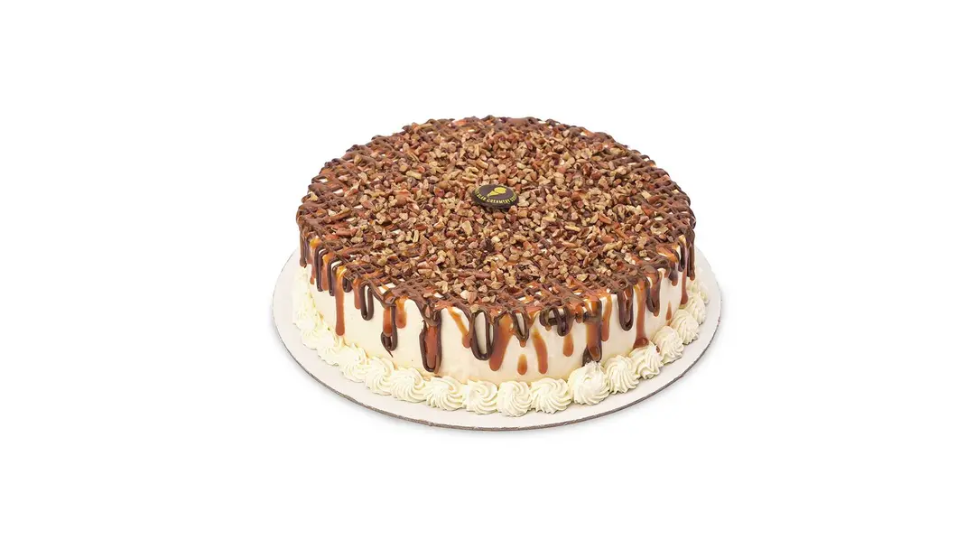 TURTLE CAKE