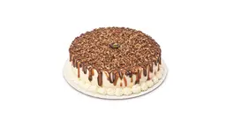 TURTLE CAKE