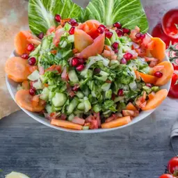 سلطة عربي