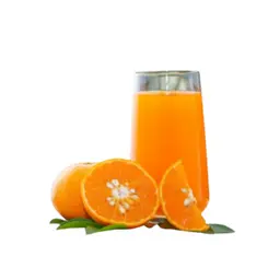 كوب برتقال طازج
