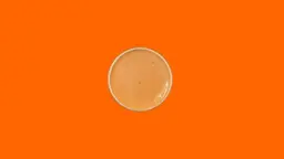 Chipotle Dip Sauce