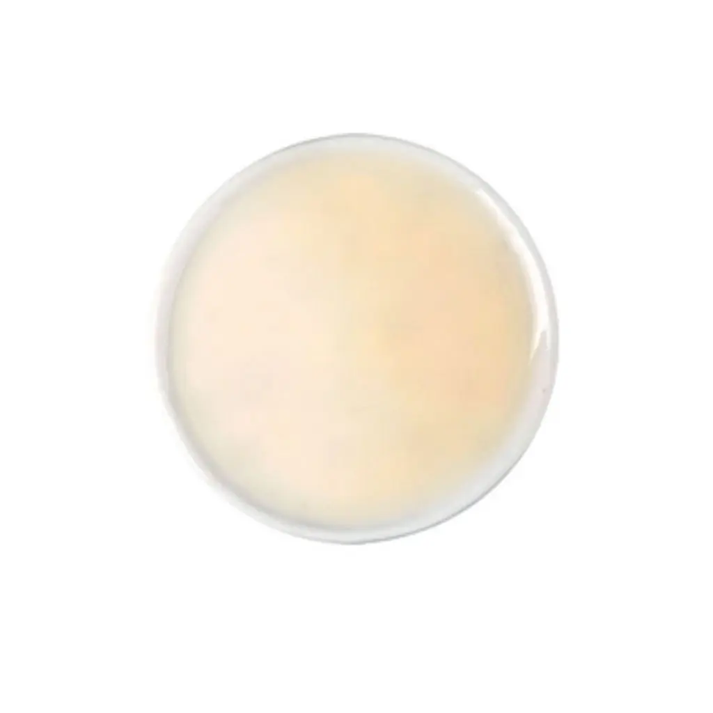 Mayonnaise Plate