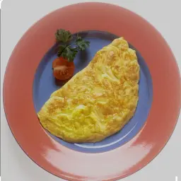 Professional Omelet