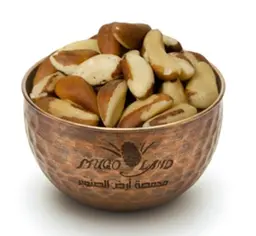 Raw Brazilian Almonds R8