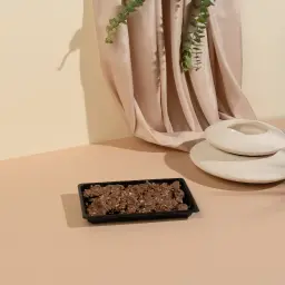 صخرة اللوز ميني