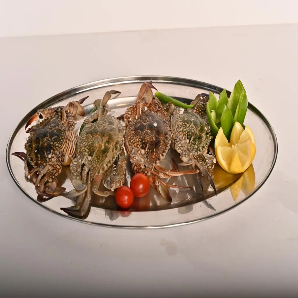 كابوريا