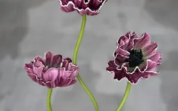سحر الحديقة
