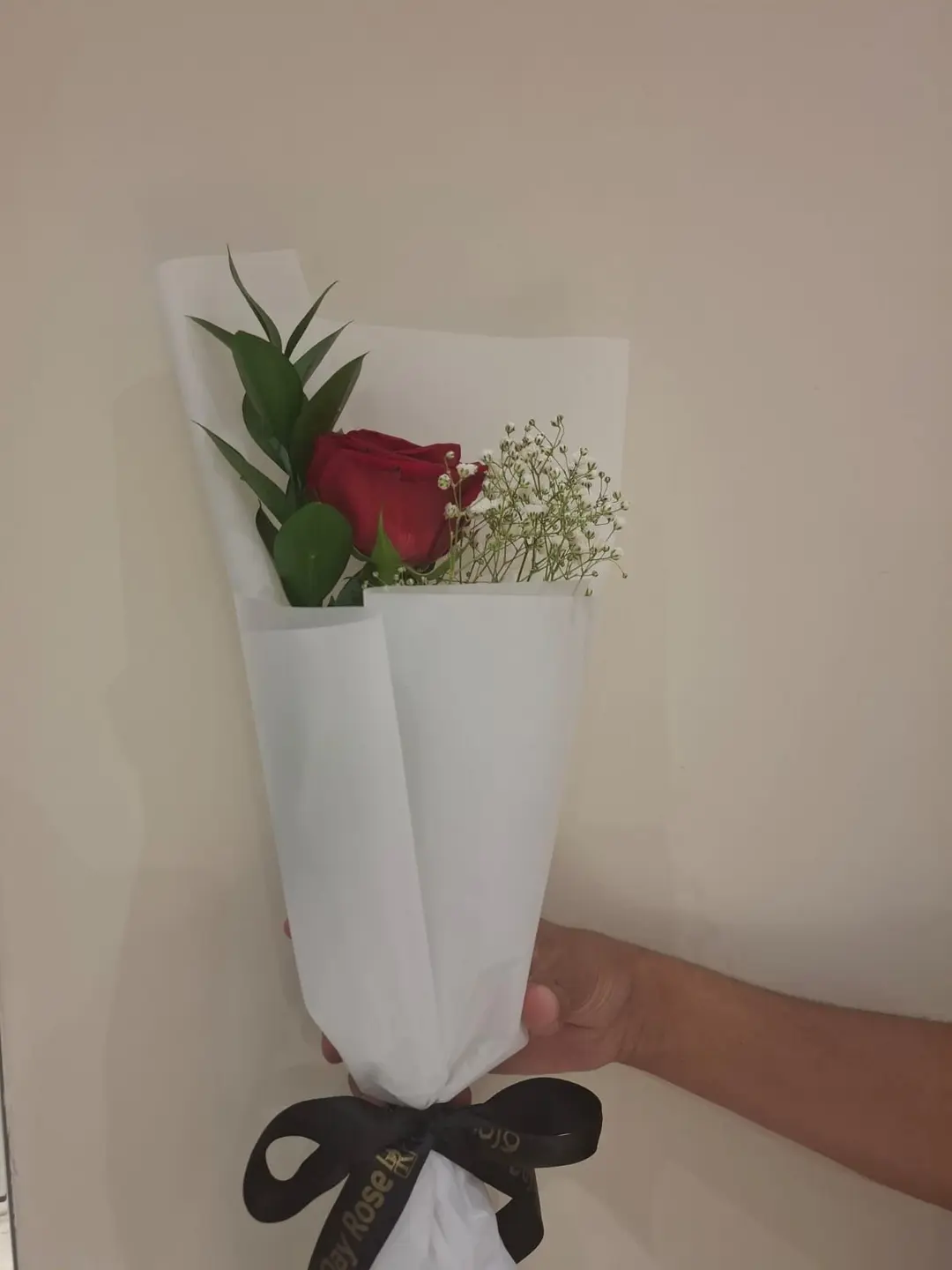سنقل روز