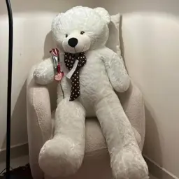 دبدوب بيج كبير