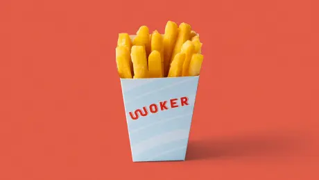 Fries Noodles