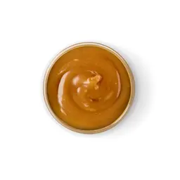 Gravy Sauce