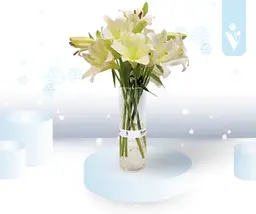 شعاع الشتاء الأبيض