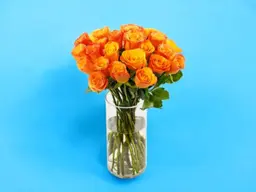 Orange Passion Vase 0213