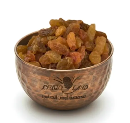 Large Golden Raisin R566