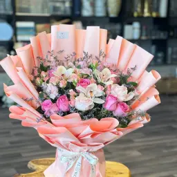 Mix Bank Dutch Waqifa Package