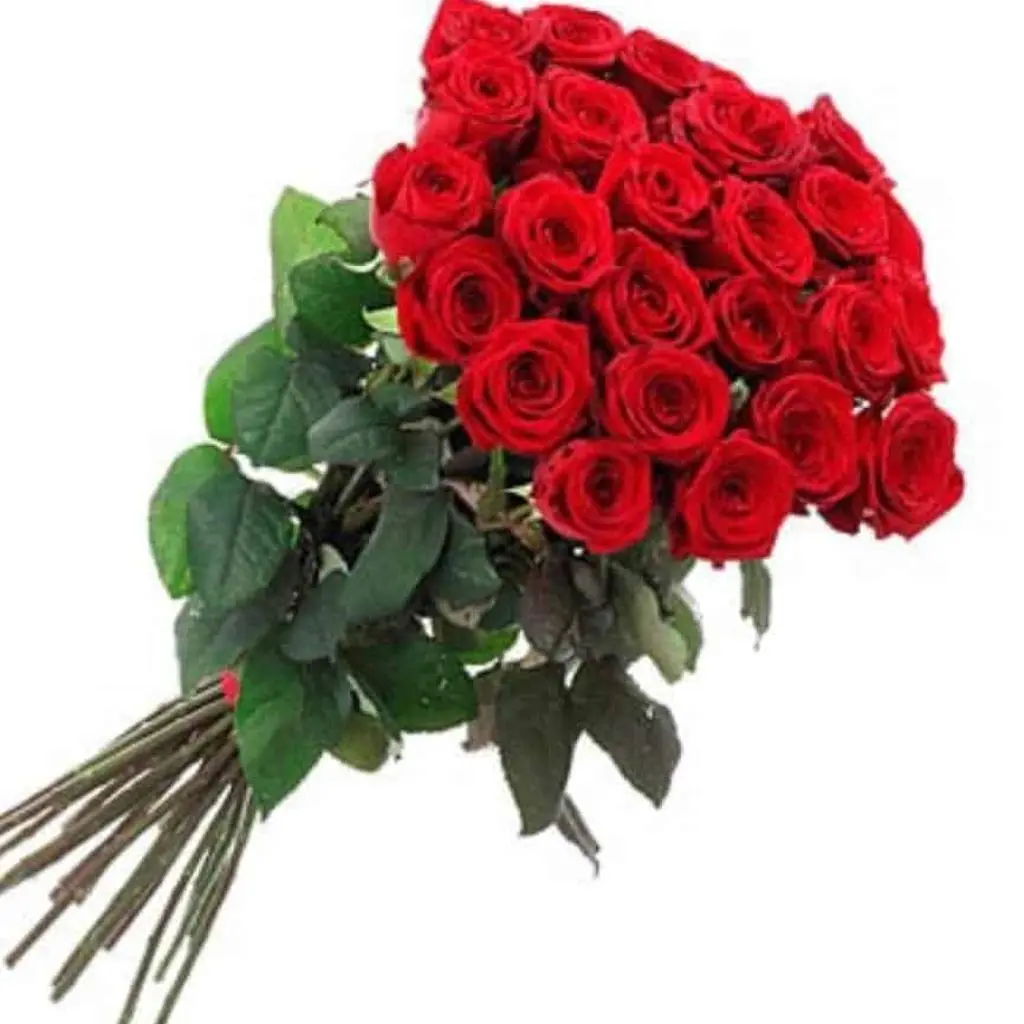 ايه 2