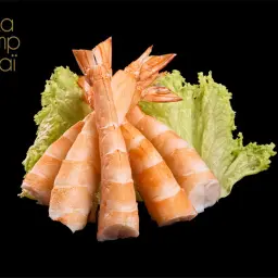 Shrimp Sashimi