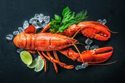 Lobster
