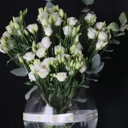 مجموعة من الزهور الطبيعية