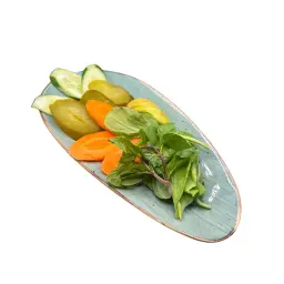 Vegetable Service Plate