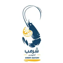 Shrimp Anatomy - Riyadh - Olaya