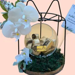 Chocolate Gift