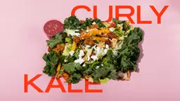 Curly Kale Salad