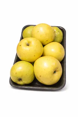 كمثري ثمار