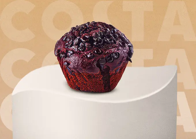 Chocolate Muffin
