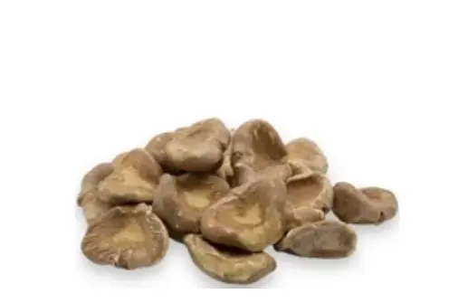 Brewer's Yeast R853