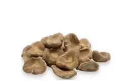 Brewer's Yeast R853